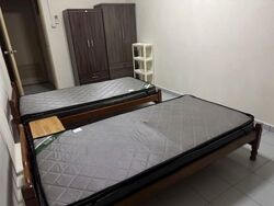 Blk 871 Tampines Street 84 (Tampines), HDB 4 Rooms #537392621